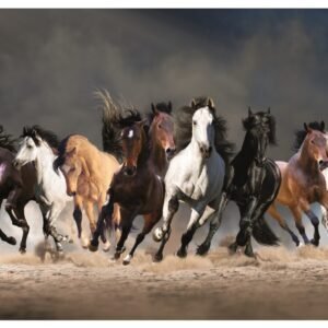 Seven Horse