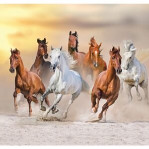 Seven Horse