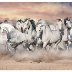 Seven Horse