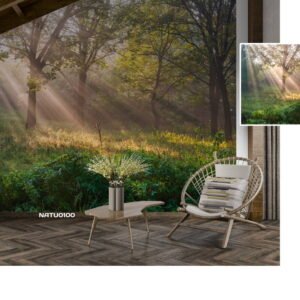 Nature Designs - Vol.02