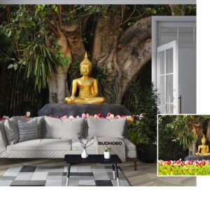 Buddha Designs - Vol-02