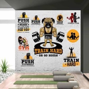 FITNESS MANIA Coll.-11