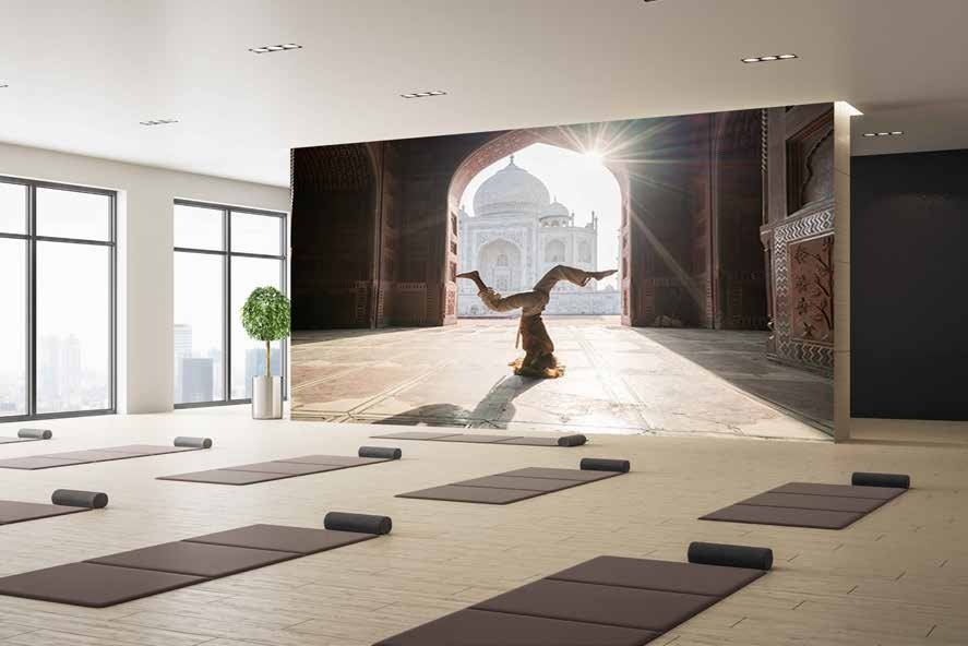 FITNESS MANIA Coll.-11