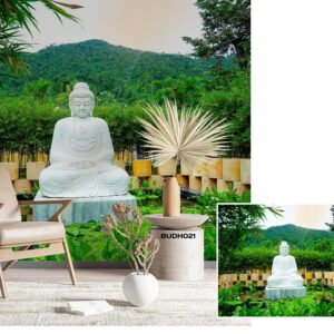 Buddha Designs - Vol-01
