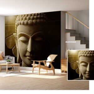 Buddha Designs - Vol-01
