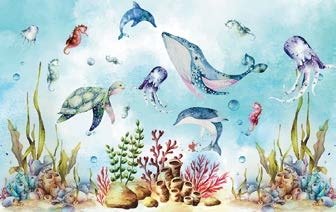 Wonder Walls - Image 2