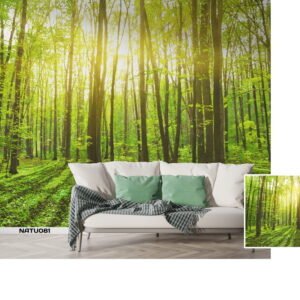 Nature Wallpapers