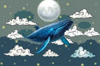 Wonder Walls - Image 2