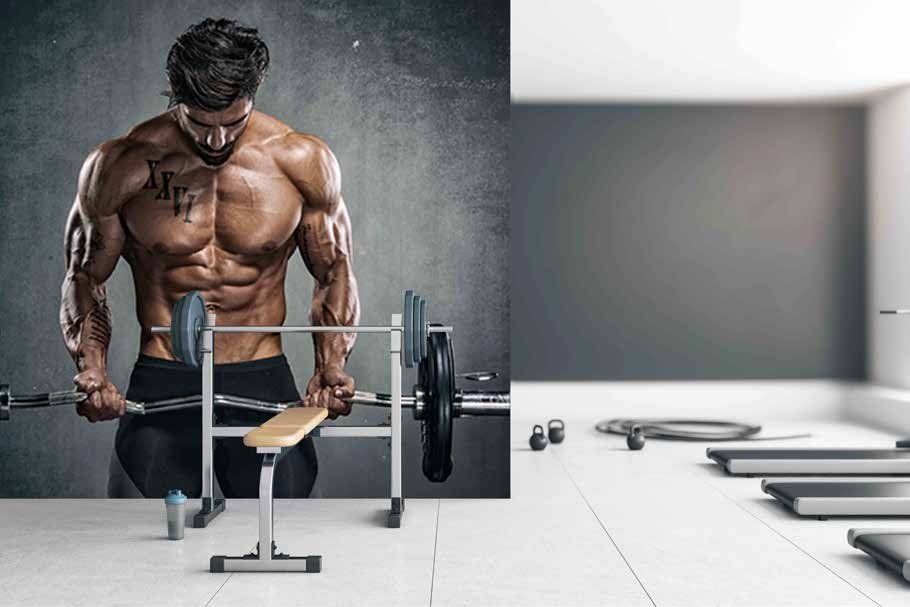 FITNESS MANIA Coll.-11