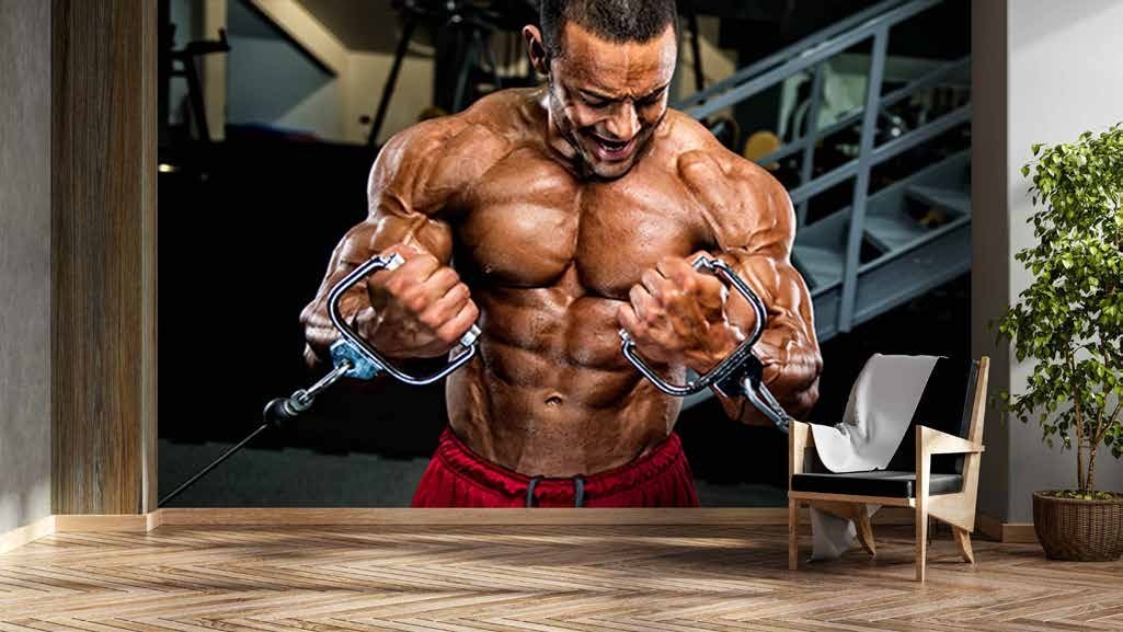 FITNESS MANIA Coll.-11