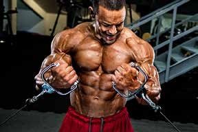 FITNESS MANIA Coll.-11 - Image 2