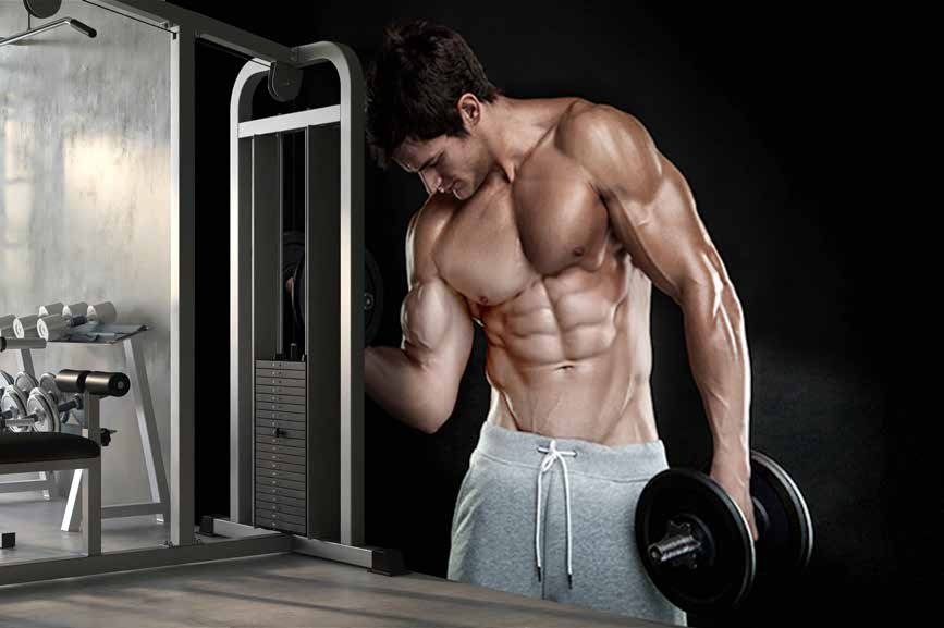 FITNESS MANIA Coll.-11