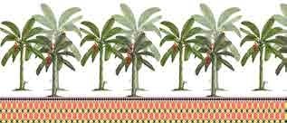 Tropical Chic Coll.-6 - Image 2