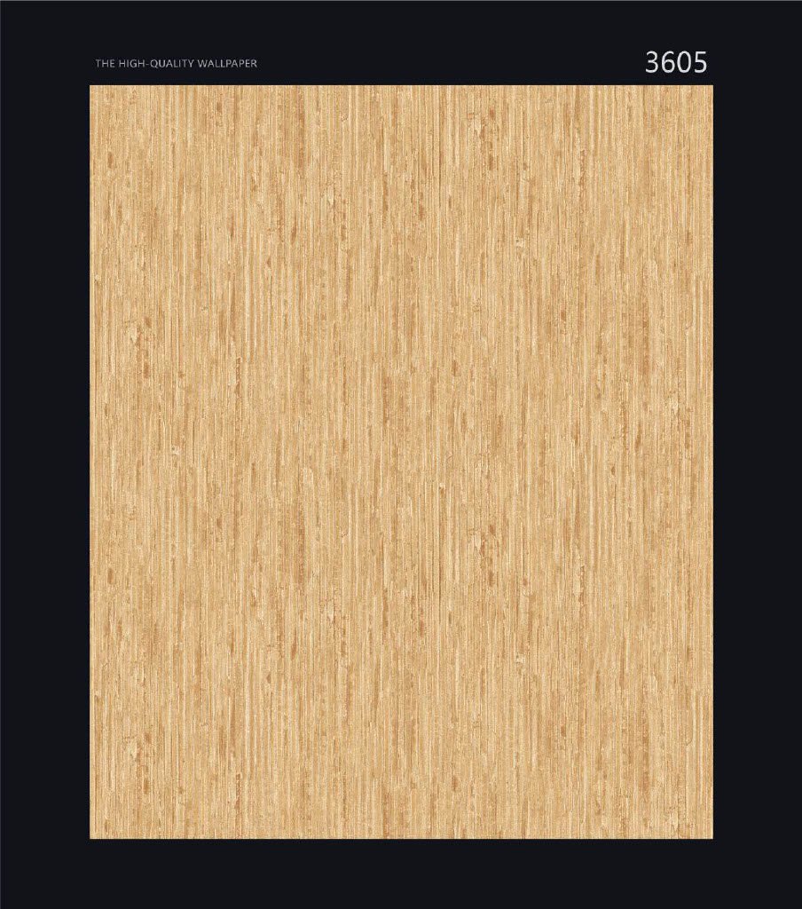 CANVAS - Image 4