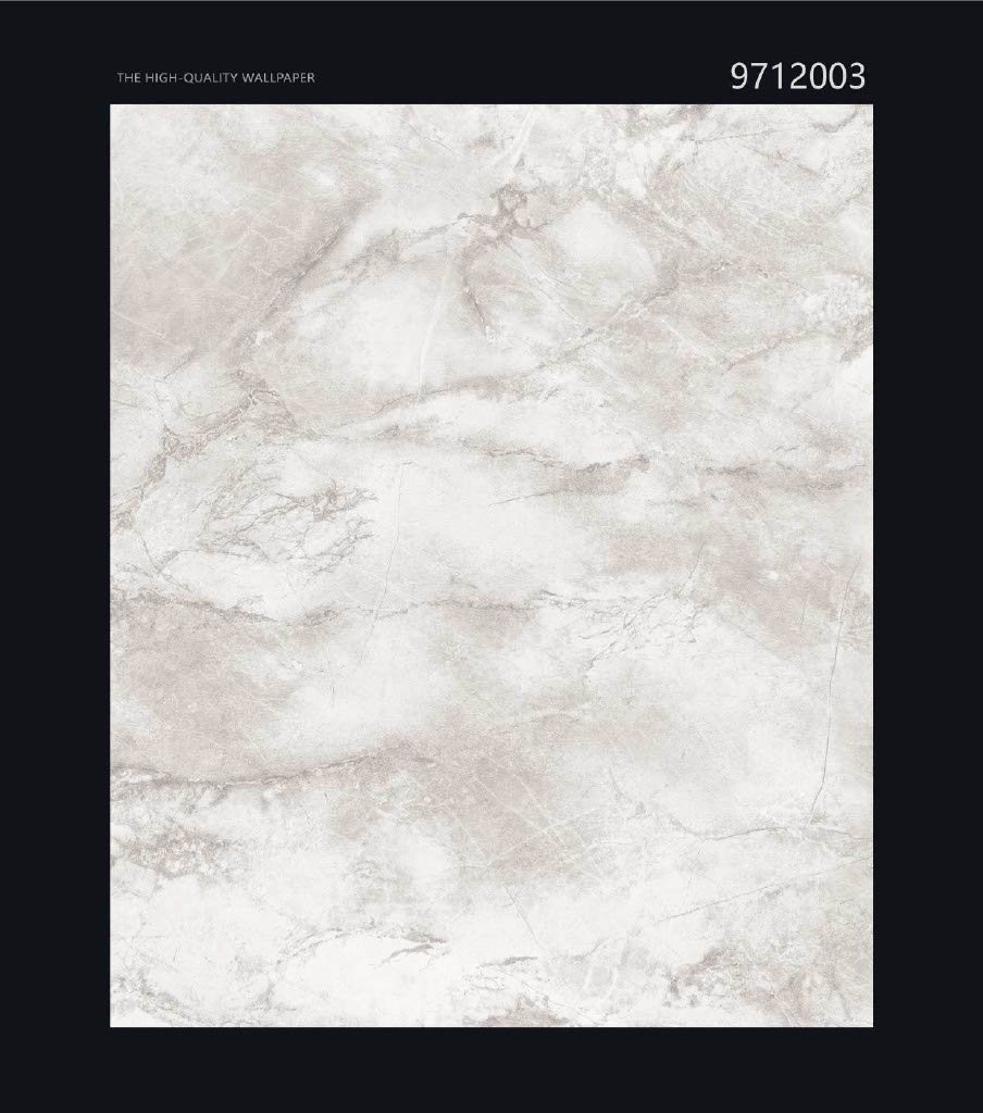 CANVAS - Image 3