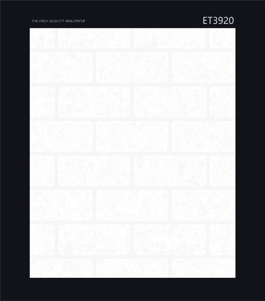 CANVAS - Image 2