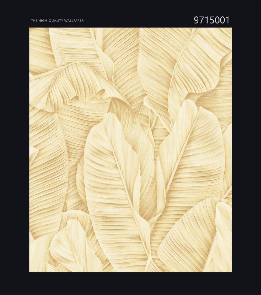 CANVAS - Image 2