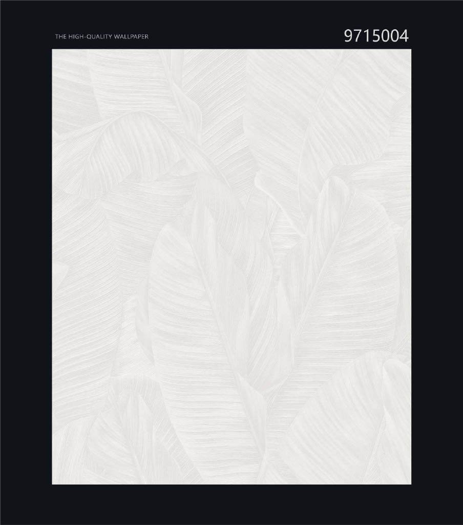CANVAS - Image 3