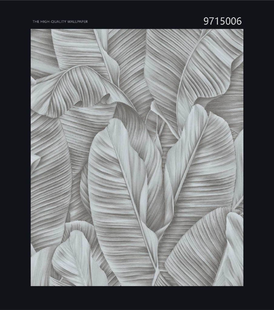 CANVAS - Image 4