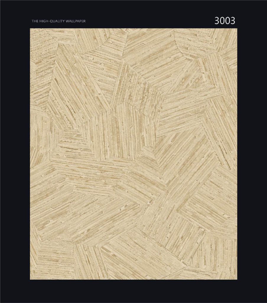 CANVAS - Image 3