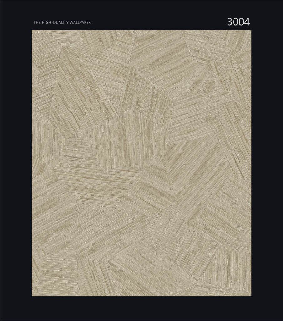 CANVAS - Image 4