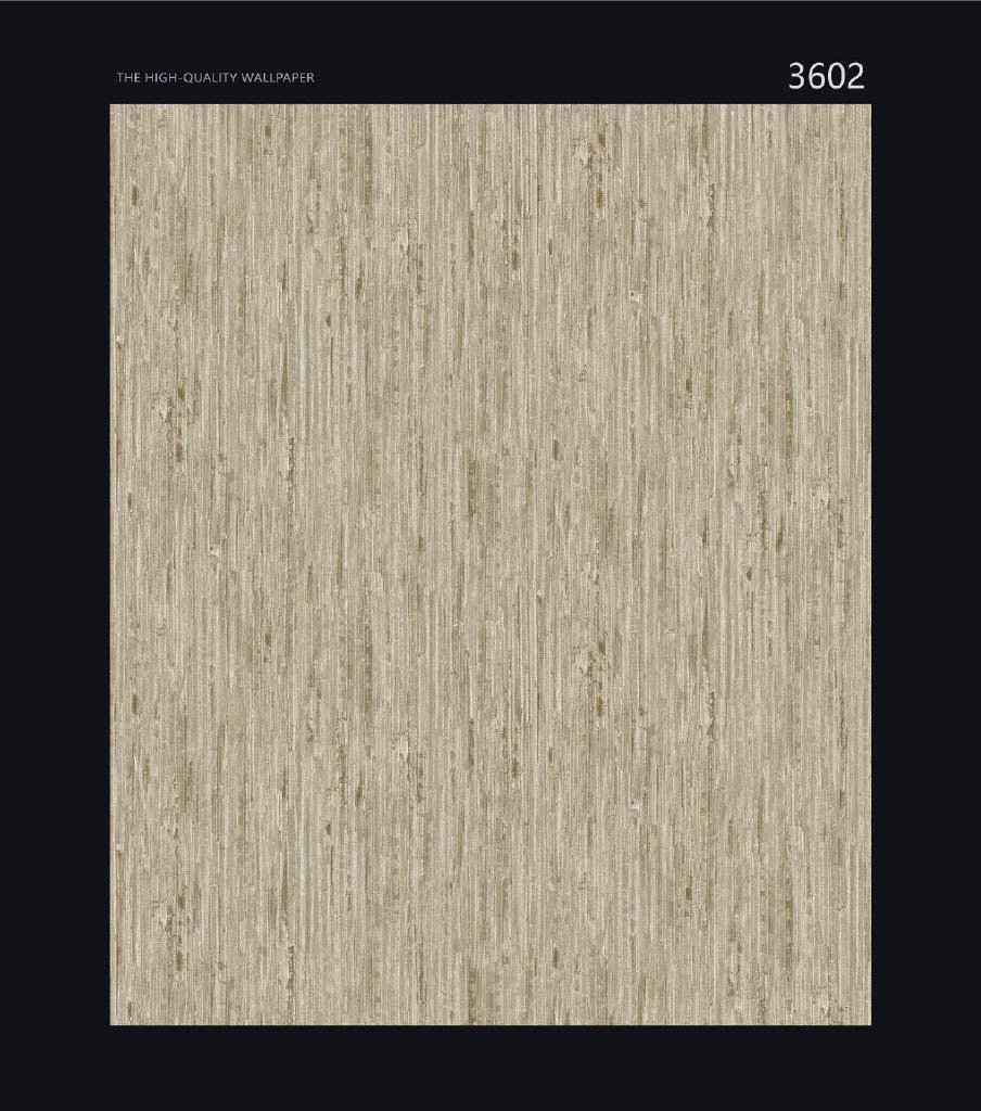 CANVAS - Image 3